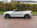 BMW 220 2-serie Cabrio 220i Gris - thumbnail 11