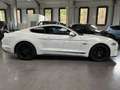 Ford Mustang 5.0 V8 FIFTY FIVE YEARS Blanc - thumbnail 2