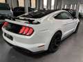 Ford Mustang 5.0 V8 FIFTY FIVE YEARS Blanc - thumbnail 3