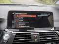 BMW X3 xDrive 30dA X-Line KAMERA MEMORY NAVI ACC Gris - thumbnail 10