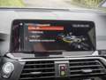 BMW X3 xDrive 30dA X-Line KAMERA MEMORY NAVI ACC Gris - thumbnail 9