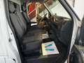 Renault Master 2.3 DCI XXL Koffer*Klima*Tempom*Hebebühne Weiß - thumbnail 12