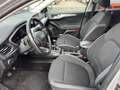 Ford Focus Focus 1.5 EcoBlue 120 CV SW Business Zilver - thumbnail 13