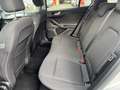 Ford Focus Focus 1.5 EcoBlue 120 CV SW Business Zilver - thumbnail 12