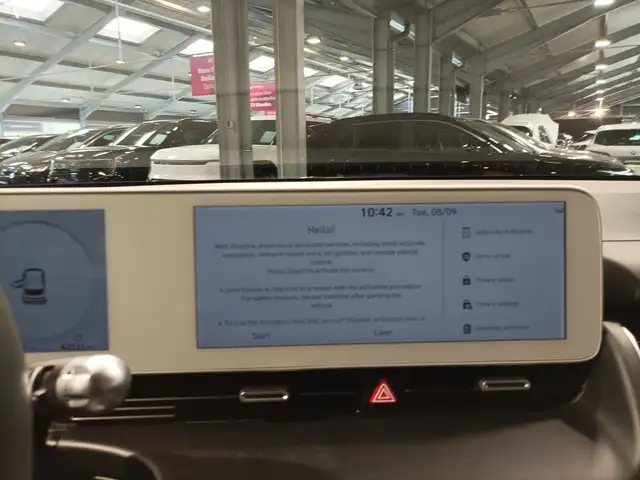 Hyundai Ioniq 5 view 11