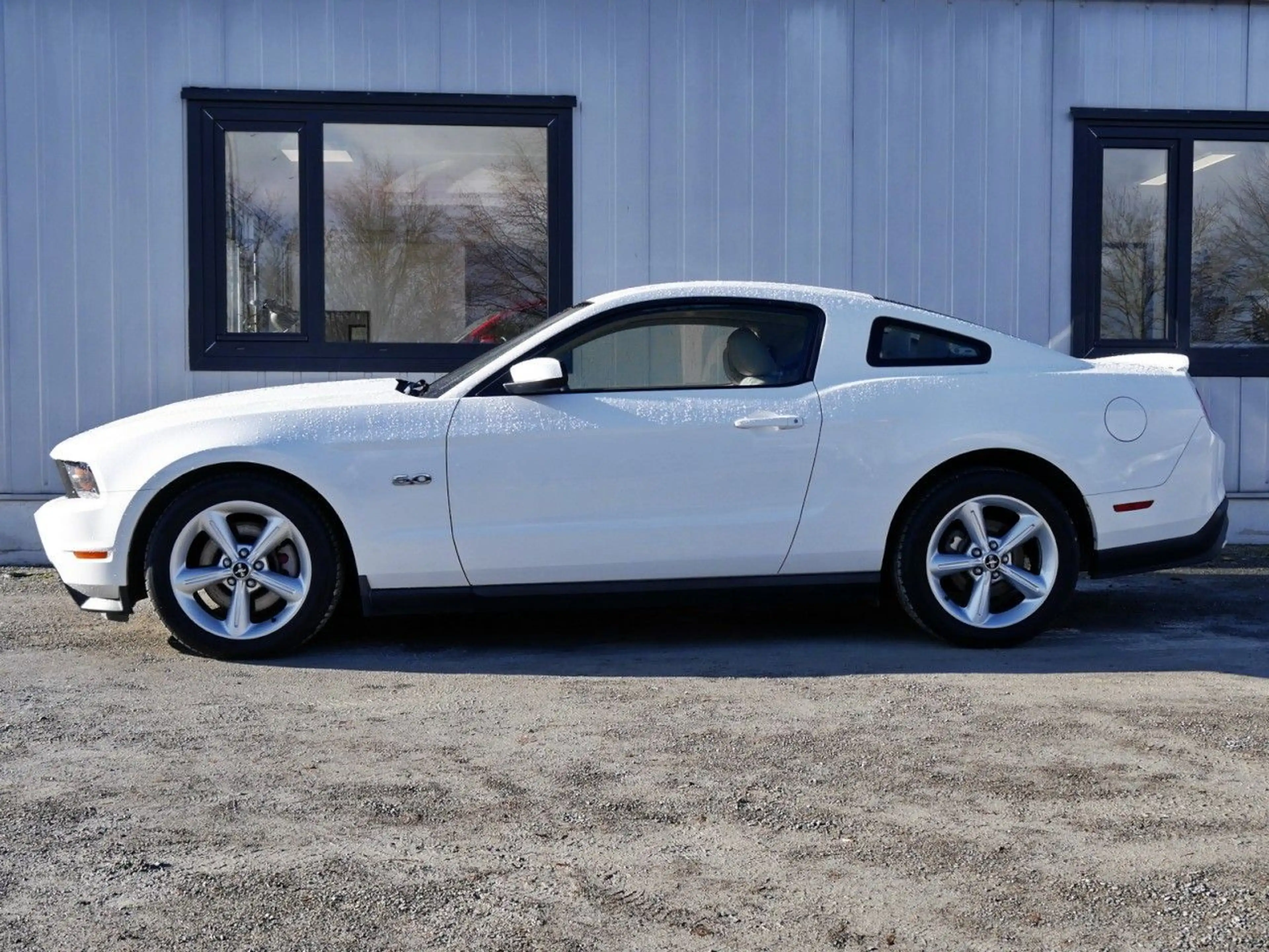 Ford Mustang GT 5.0 V8 Autom. Leder+Klima+Audio SYNC — photo 3
