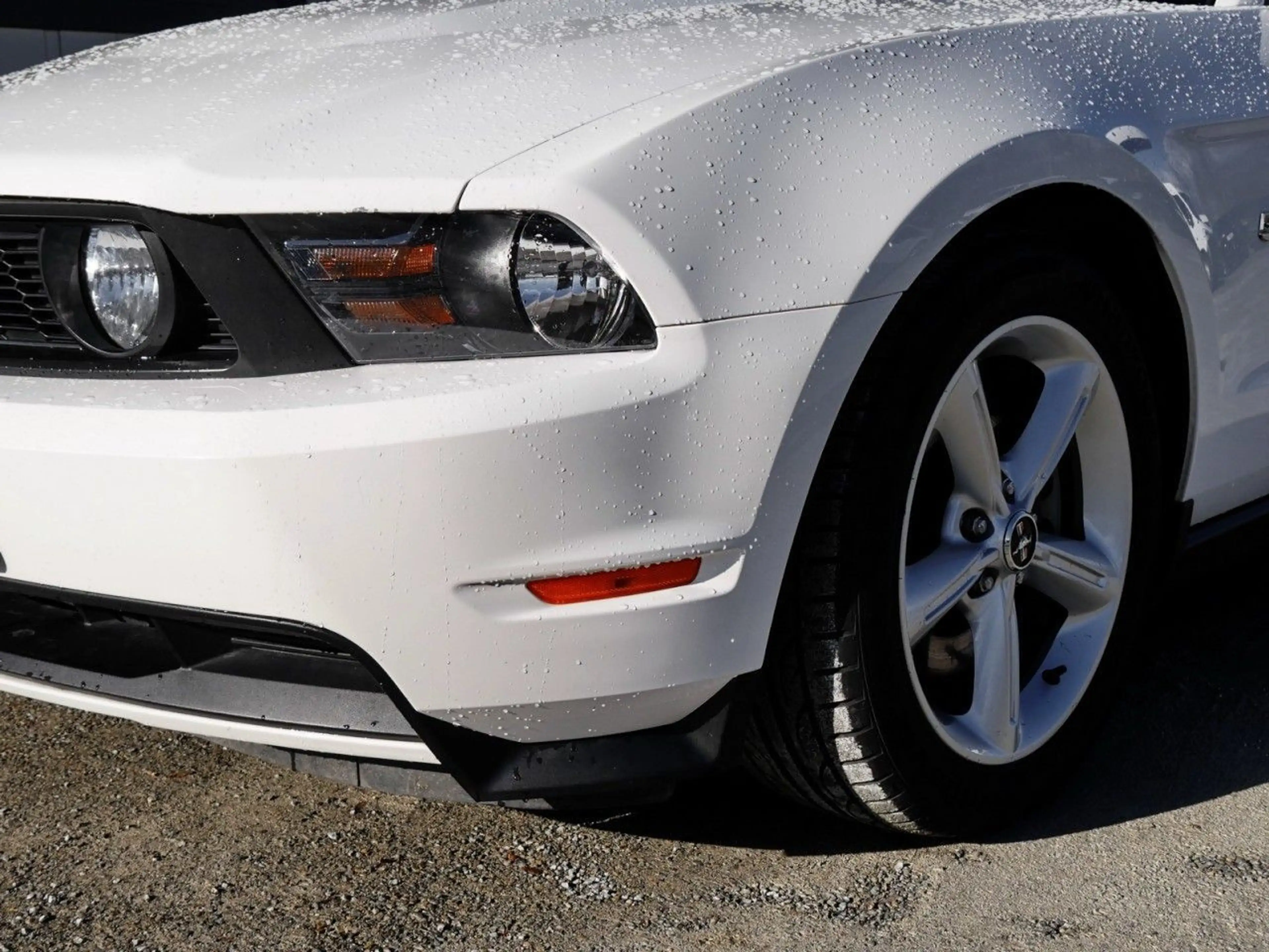 Ford Mustang GT 5.0 V8 Autom. Leder+Klima+Audio SYNC — photo 15