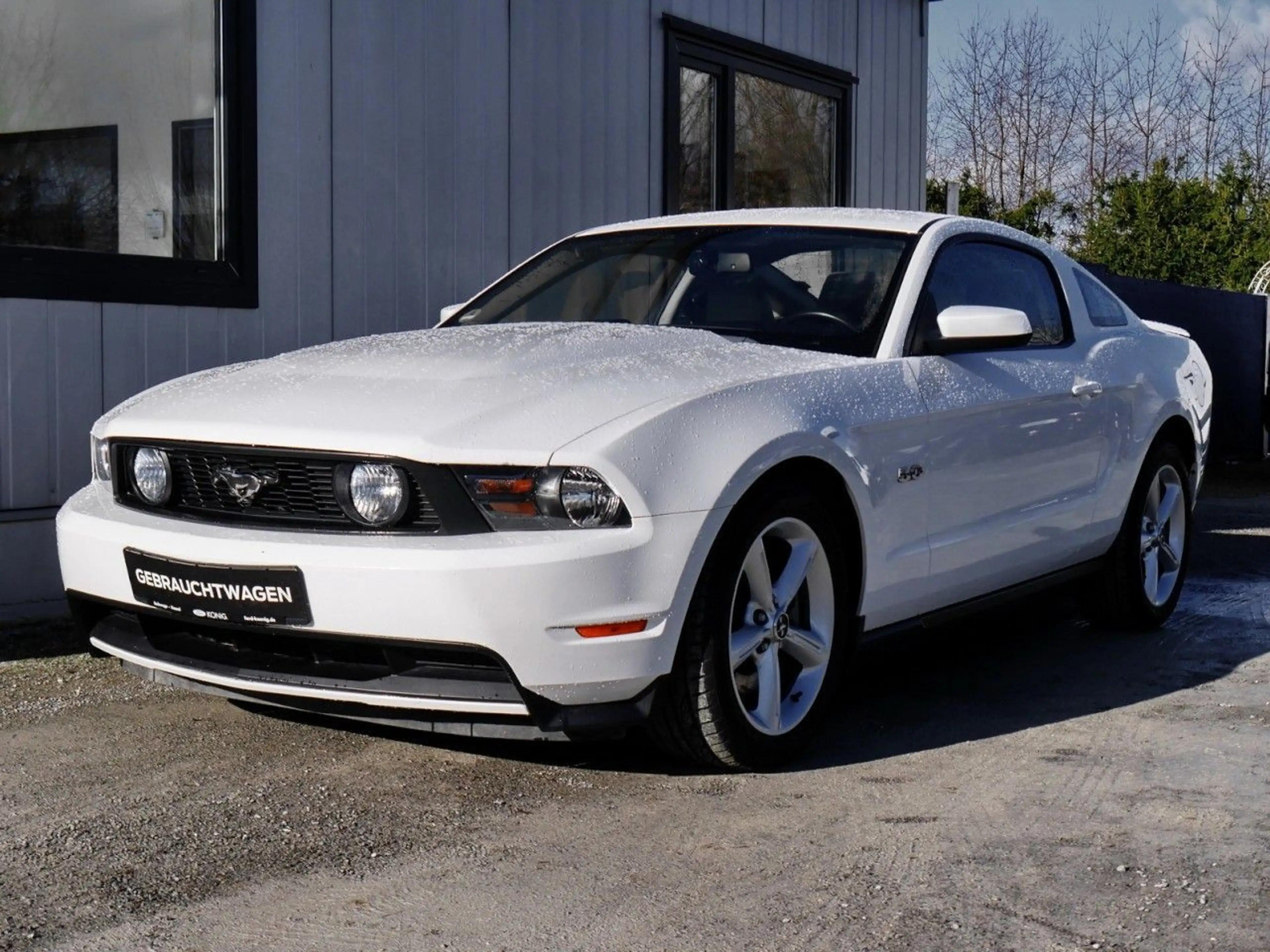 Ford Mustang GT 5.0 V8 Autom. Leder+Klima+Audio SYNC — photo 2