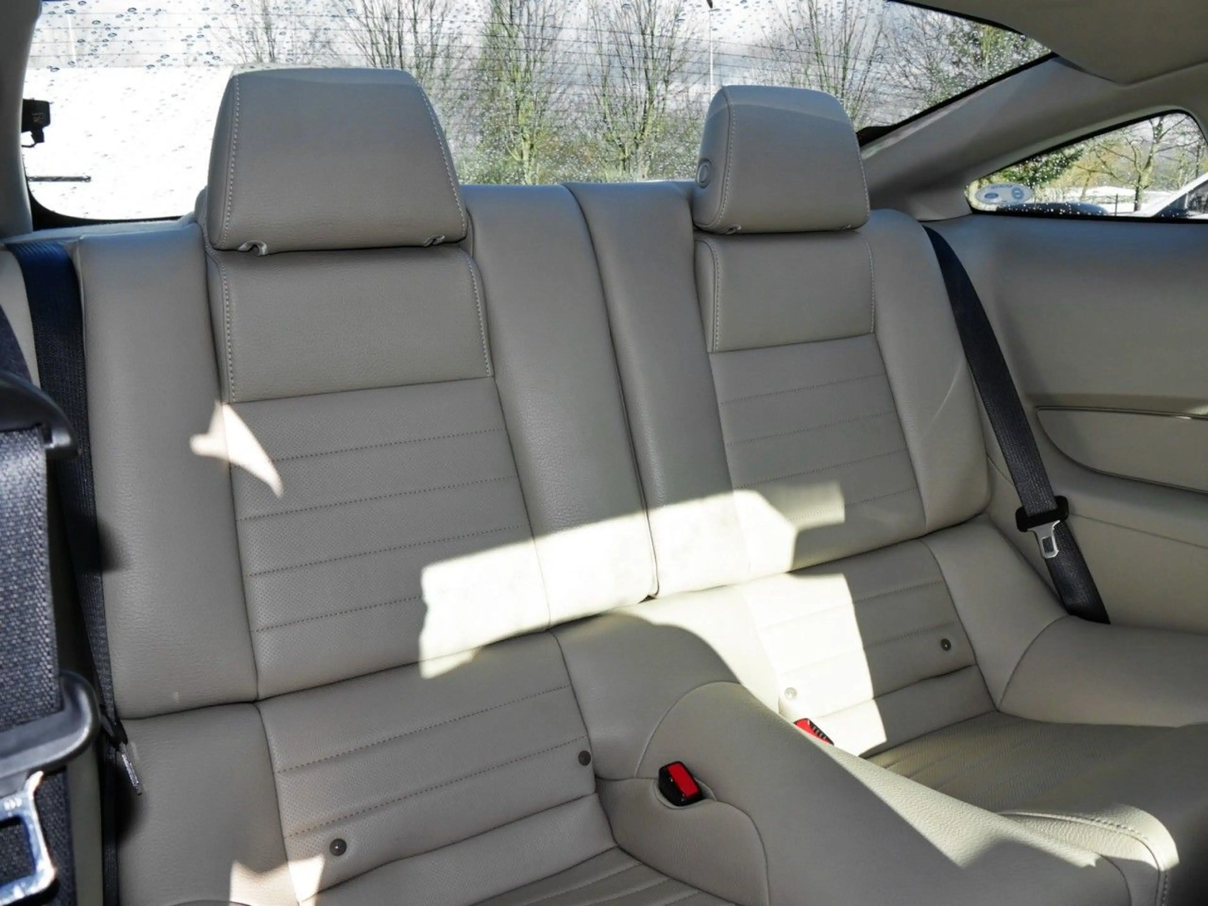Ford Mustang GT 5.0 V8 Autom. Leder+Klima+Audio SYNC — photo 9