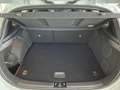 Kia Ceed / cee'd GT*BASTUCK-AGA*Komfort*Pano*JBL*ACC Weiß - thumbnail 19