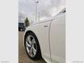 Audi A4 AVANT 35 2.0 TDI MHEV S-TRONIC S-LINE EDITION Bianco - thumbnail 6