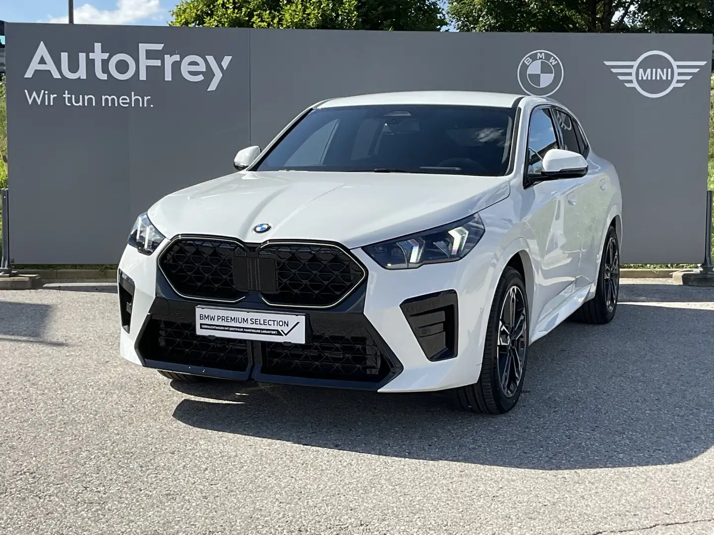 BMW X2 X2 20d xDrive Wit - 1
