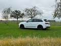Audi Q7 60 TFSI S Line 462 PK FULL FULL Wit - thumbnail 7