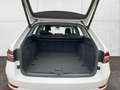 Skoda Superb Combi Premium Edition 2.0 TDI Navi Leder Kamera Di Wit - thumbnail 19