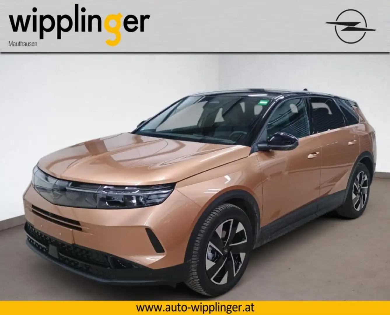 Opel Grandland X GRANDLAND GS Hybrid 145 eDCT LP € 44.055,- Braun - 1
