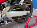 Yamaha YZF 600 Thundercat Rouge - thumbnail 8