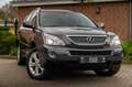 Lexus RX 400 400h Executive 211 PK Trekhaak Camera Schuifdak St Grau - thumbnail 38