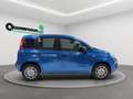 Fiat New Panda Panda 1.0 firefly hybrid  Icon KM0 Negru - thumbnail 6