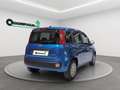 Fiat New Panda Panda 1.0 firefly hybrid  Icon KM0 Negru - thumbnail 5