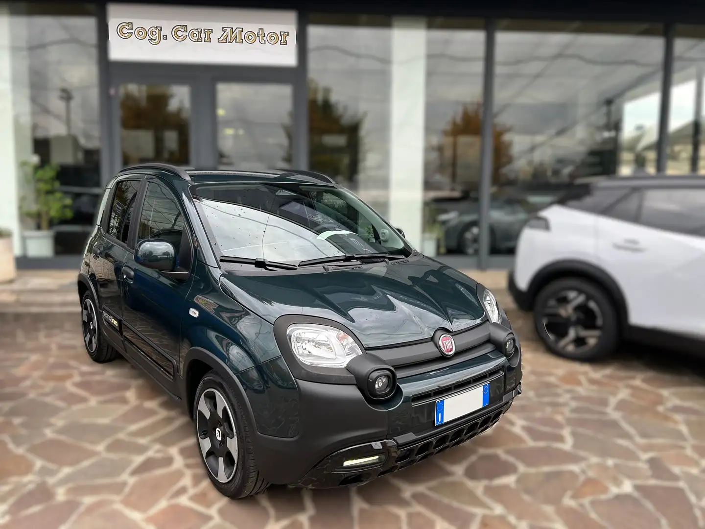 Fiat Panda Cross Pandina Cross 1.0 firefly hybrid 70CV Vert - 1