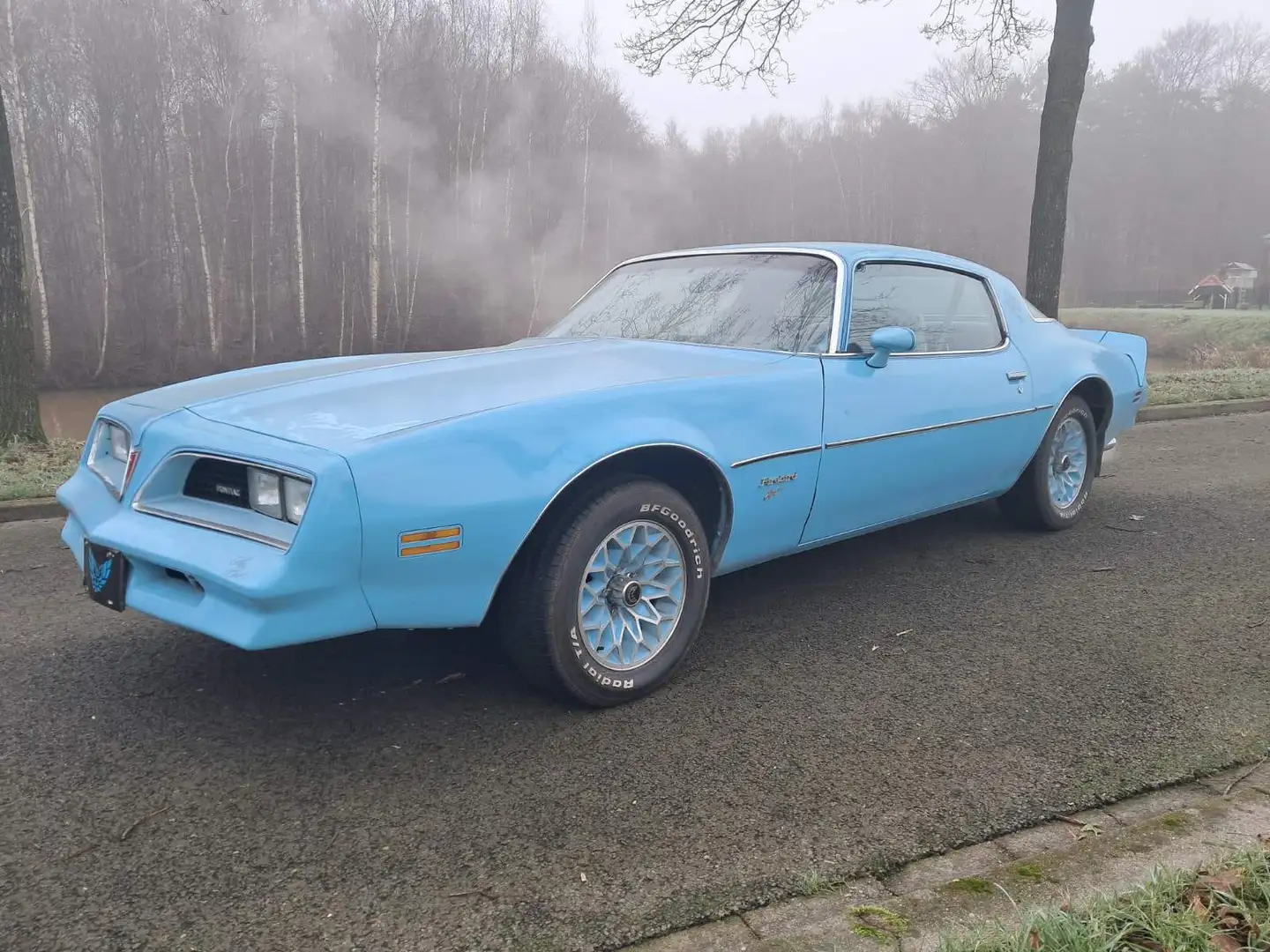 Pontiac Firebird Skybird ( bluebird ) 5.7 L aut. 1977 Blau - 1