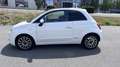 Fiat 500 - thumbnail 6