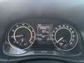 Skoda Fabia 1,2 TSI*MONTE-CARLO* Grau - thumbnail 20
