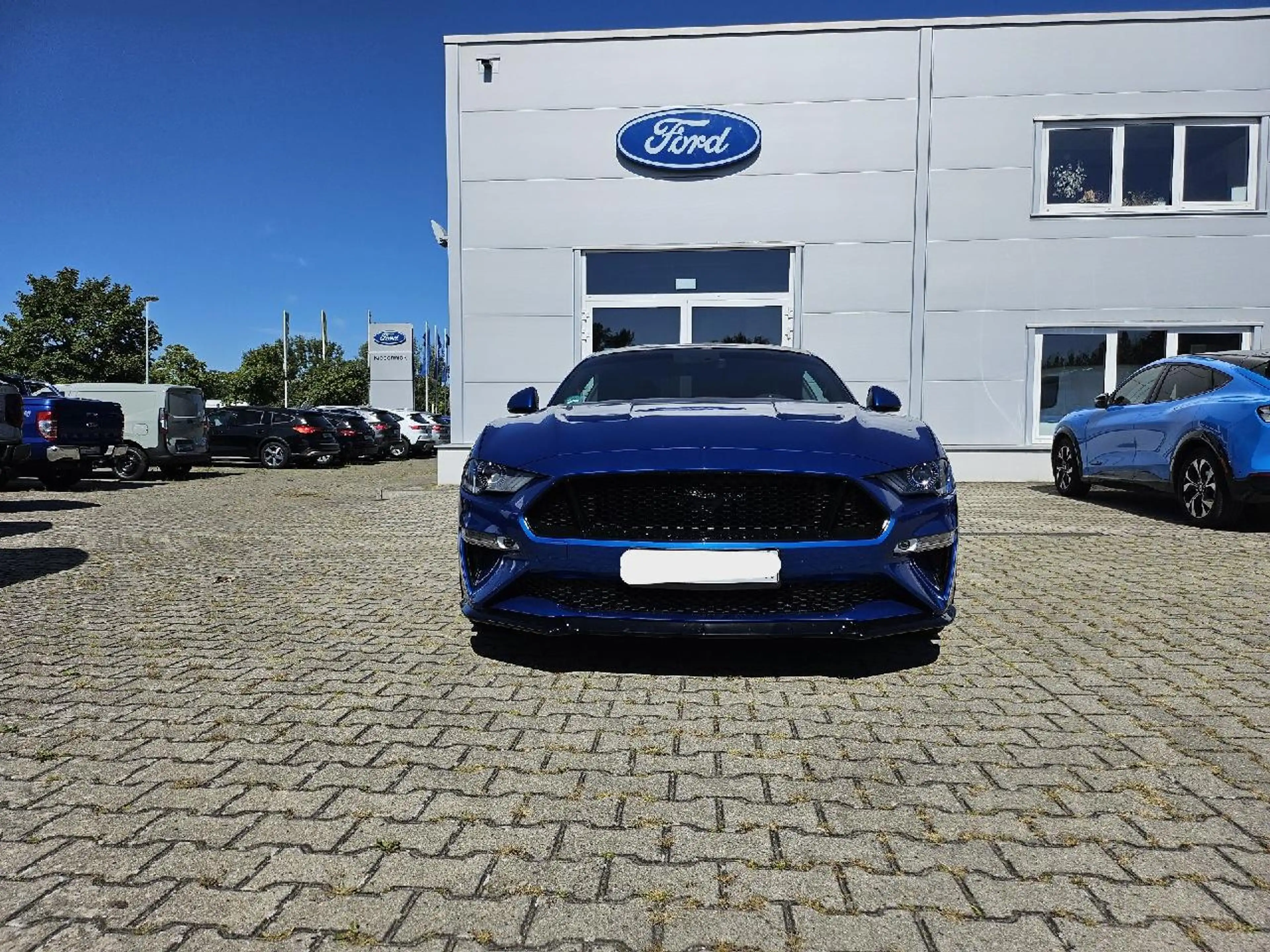 Ford Mustang Mustang GT Coupé Luftfahrw., Grail- Abgasanl. — photo 8