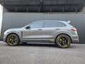 Porsche Cayenne Cayenne Diesel Tiptronic S Grau - thumbnail 9