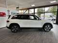 Mercedes-Benz GLB 200 Classe 200d Progressive Line BVA 625.20E-Mois Weiß - thumbnail 2