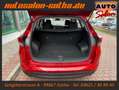 Hyundai TUCSON blue Classic NAVI+KLIMA SHZ KAMERA FON LM Rot - thumbnail 11