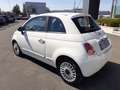 Fiat 500 0.9 TwinAir TurboSport KM CERTIFIC-GARANZIA-1°PROP Bianco - thumbnail 7