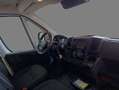 Fiat Ducato Maxi L4H2 Aut.*Cargo+*Visibility+*Worksit Weiß - thumbnail 4
