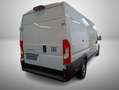 Fiat Ducato Maxi L4H2 Aut.*Cargo+*Visibility+*Worksit Weiß - thumbnail 3