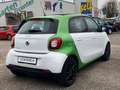 smart forFour electric drive / EQ FALTDACH* AUTOMATIK* Grün - thumbnail 4