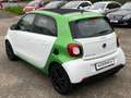 smart forFour electric drive / EQ FALTDACH* AUTOMATIK* Grün - thumbnail 6