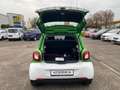 smart forFour electric drive / EQ FALTDACH* AUTOMATIK* Grün - thumbnail 14