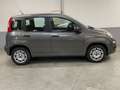 Fiat Panda 1.2 Easy Gris - thumbnail 5