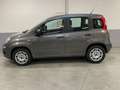 Fiat Panda 1.2 Easy Gris - thumbnail 4