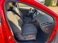 Ford Focus 2.0 150 PS Titanium"KD-NEU"TÜV-NEU"GARANTI Rot - thumbnail 11