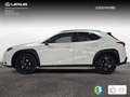 Lexus UX 250h 2.0 Style Blanc - thumbnail 3