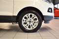 Ford EcoSport Titanium/TEMPOMAT/KLIMAAUT./2.HAND/BT Weiß - thumbnail 9