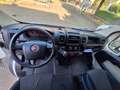 Fiat Doblo Weiß - thumbnail 10