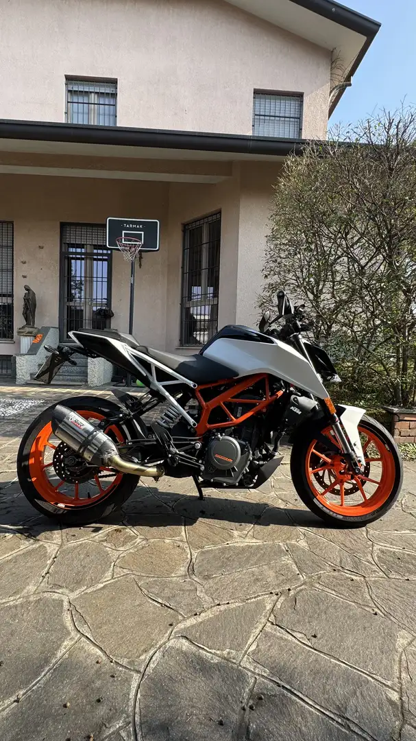 KTM 390 Duke ABS Blanco - 2