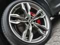 BMW X4 M i LC.PRO ACC HUD PANO H&K 360° STANDH 21" Grau - thumbnail 9