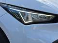 CUPRA Born NAV KAM ACC LED DAB PODC SHZ Weiß - thumbnail 4