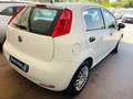 Fiat Punto Punto 1.3 MJT II S&S 95 CV 5 porte Street Bianco - thumbnail 10