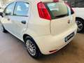 Fiat Punto Punto 1.3 MJT II S&S 95 CV 5 porte Street Bianco - thumbnail 8