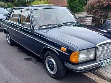 300d