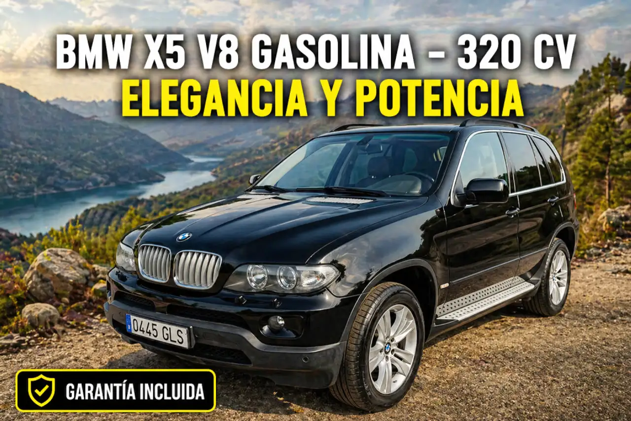 BMW X5